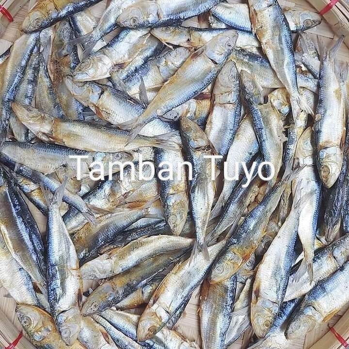 Tamban Dried Fish 1/2 KILO | Lazada PH