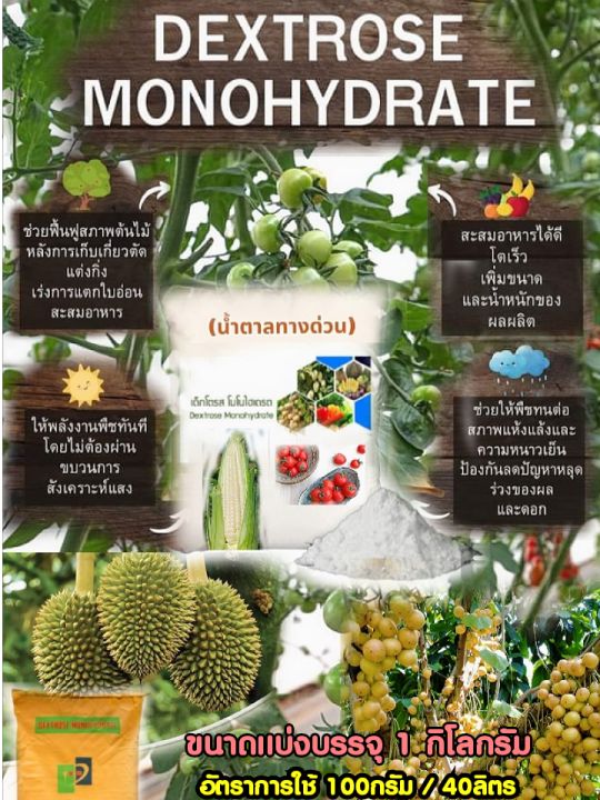 dextrose-น้ำตาลทางด่วน-ฟื้นฟูพืช-ขนาด1กก