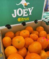 ส้มแมนดาริน  นำเข้าจาก (ออสเตเรีย) JOEY Citrus ??รสชาติเข้มข้น หวาน หอม อร่อย 1 ลัง 9 kg.???