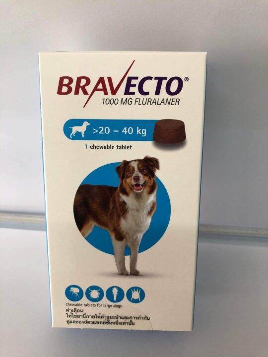 Bravecto 20-40 kg แบบกิน | Lazada.co.th