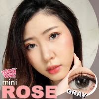 Mini rose gray by kawaii ลุ๊คธรรมชาติหวานละมุน สีเทาอ่อน