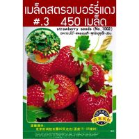 เมล็ด สตรอเบอร์แดง Strawberry Original  จำนวน 450 เมล็ด สายพันธุ์OP