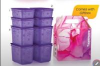 Tupperware chill freeze set 8ชิ้น  สีdrewberry