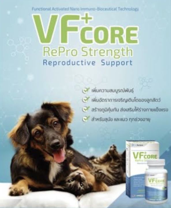 vf-core-repro-strengthสุนัข-แมว-30-เม็ด-หมดอายุ-12-2024-บำรุงระบบสืบพันธุ์-ติดลูกดี-ลูกสมบูรณ์-แข็งแรง