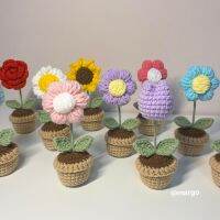 Crochet mini flower pots?⚘?จัดส่งสินค้าภายใน 2-7 วัน