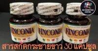 สารสกัดจากกระชายขาว Finconia ฟินโคเนีย (ตราฟาซเมท) 30 เม็ด