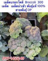 เมล็ดบรอกโคลี  Broccoli  300 เมล็ด   เมล็ดนำเข้า พันธุ์แท้ 100%  สายพันธุ์ OP  VG-3021