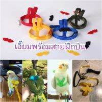 เอี๊ยม​นกแก้ว พร้อมสายฝึกบิน มีปีกน่ารักๆ