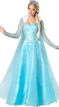 Shop Adult Costume Frozen Elsa with great discounts and prices