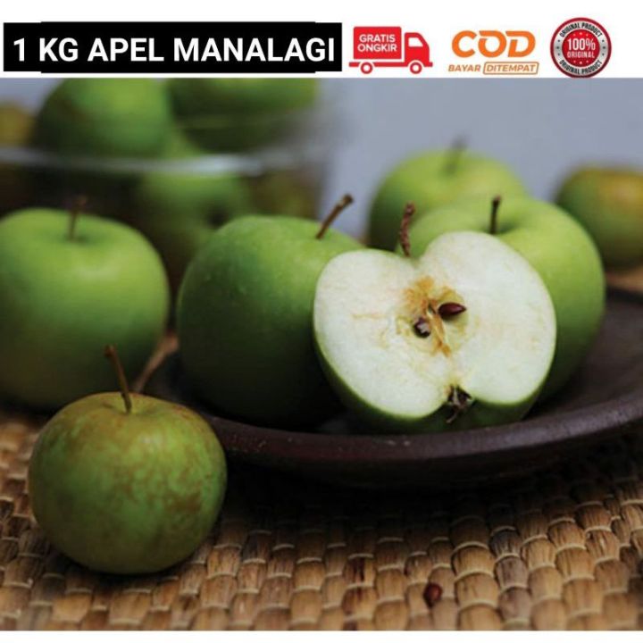 Apel Malang Apel Manalagi Fresh Kg Lazada Indonesia