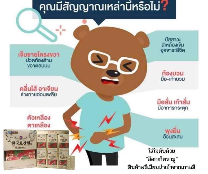 ของฝากจากเกาหลี-สมุนไพร-ฮ็อกเก็ตนามูขนาด-1-กล้องใหญ่-240-เม็ดส่งฟรี