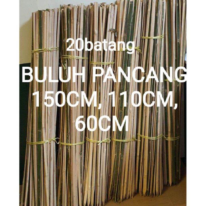 BULUH PANCANG STOCK BARU 1set 15batang/ Bamboo STAKE | Lazada