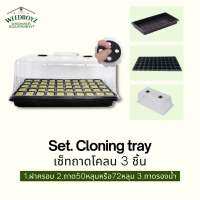 Set Cloning tray 50หลุมและ72หลุม ถาดโคลน ถาดเพาะเมล็ด ถาดหลุม ถาดปักชำ ถาดเพาะปลูก ถาดโคลนนิ่ง กล่องเพาะเมล็ด กิ่งโคลนเพาะชำ กล่องอบความชื้น