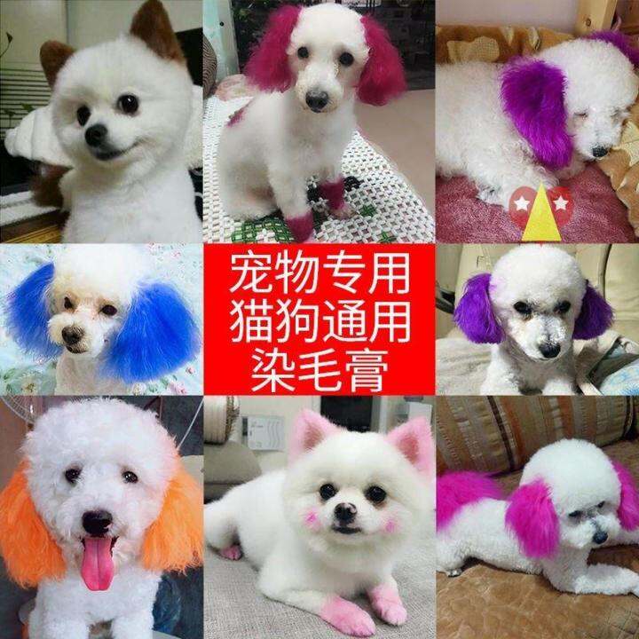 Celebrity Pet Hair Dye Dog Hair Dye Agent Animal Hair Dye