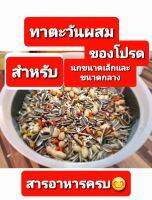 อาหารนก parrot mix ขนาด1กิโลกรัม 500กรัม สูตรพิเศษนกแก้วชอบมากกกินได้เลิฟ ฟอฟัน ซัน กรีนชีค ค๊อก เกย์ กระตั้ว ฮั้น ริงนค มาคอร์