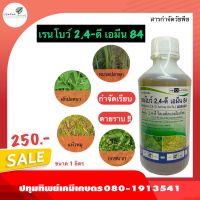 เรนโบว์  2,4-ดี เอมีน 84 ขนาด 1ลิตร ใช้กำจัดวัชพืช ประเภทใบกว้าง เช่น ผักบุ้ง หญ้ายาง ผักโขม ผักปอดนา เทียนนา โสนหางไก่ ตาลปัตรฤาษี ผักปลาบ