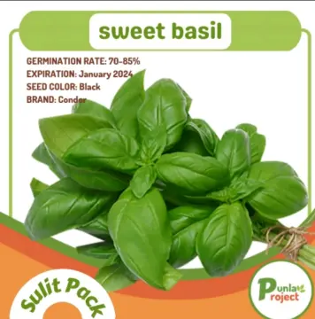 Shop Sweet Basil Seeds Garden with great discounts and prices