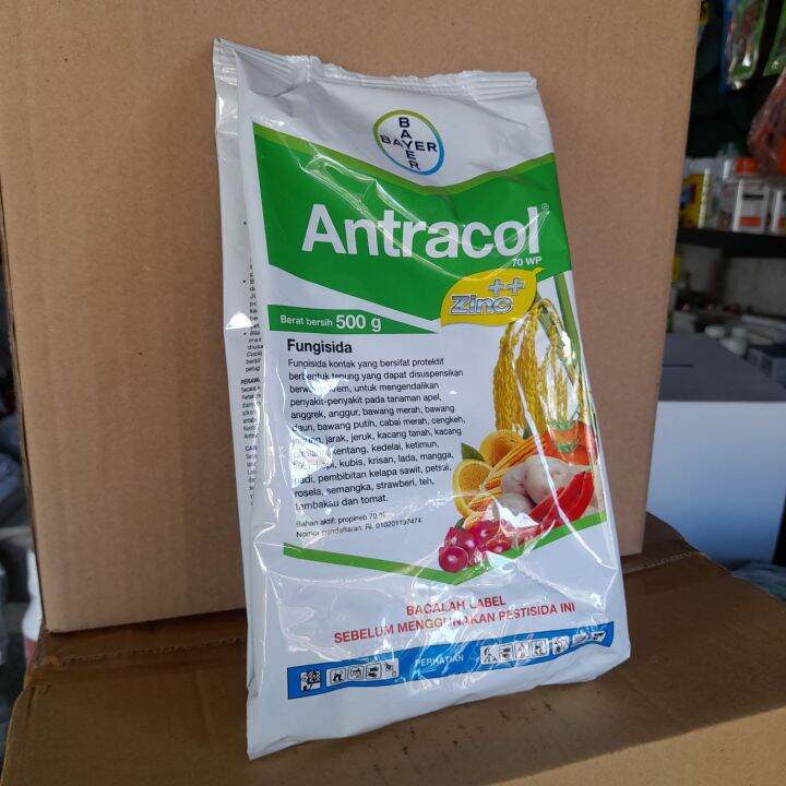 FUNGISIDA ANTRACOL 70 500G | Lazada Indonesia
