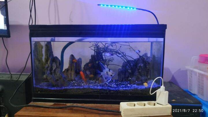 Lampu Aquarium Aquascape 10 Led Smd Warna Biru Lampu Soliter Ikan Hias