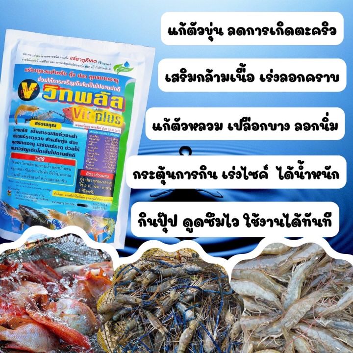 วิทพลัส-แร่ธาตุกุ้ง-แร่ธาตุรวม-แร่ธาตุปลา-สูตรเข้มข้น-แร่ธาตุคีเลต-กระตุ้นการสร้างเปลือกกุ้ง-เปลือกแข็งแร็ว-กุ้งลอกคราบ-กุ้งก้ามกราม-กุ้งขาว-ปลา