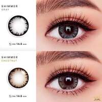 บิ๊กอาย Shimmer brown/gray Bigeye lens ลายเกร็ดน้ำแข็ง ขายดี เลนส์กรองแสง ใส่สบาย มีอย.