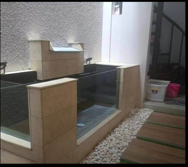 kolam ikan kaca | Lazada Indonesia
