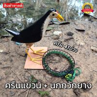 ชุดดักนกกวัก อุปกรณ์ดักนกกวัก [ได้2ชิ้น] พร้อมใช้งาน