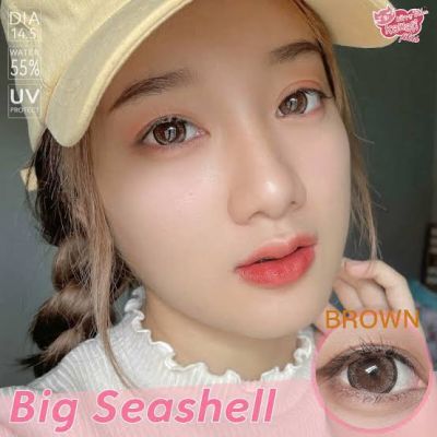 (สายตาปกติ) Kitty kawaii mini bigseashell brown