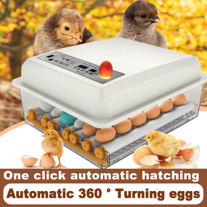 16/36/64/120 Eggs Incubator fully Automatic Digital Incubator Auto ...