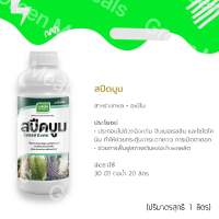 สปีดบูม ฮอร์โมนพืชเข้มข้นจากธรรมชาติ สกัดจากสาหร่ายทะเลสีทอง (อะมิโน+สาหร่าย)