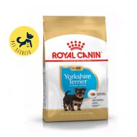 Royal Canin Yorkshire Terrier Puppy 500g. อาหารลูกสุนัข พันธุ์ยอร์คไชร์ เทอร์เรีย ชนิดเม็ด