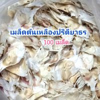 เมล็ดต้น เหลืองปรีดียาธร ตาเบเหลือง 100.เมล็ด