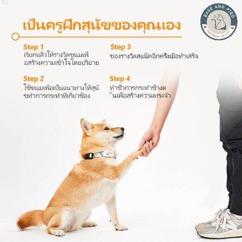 ปลอกคอสุนัข-ปลอกคอ-ปลอกคอแมว-ปลอกคออัจฉริยะ-pet-smart-activity