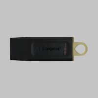 128GB Flash Drive KINGSTON (DTX) USB 3.2 Black ประกัน 5Y อุปกรณ์จัดเก็บข้อมูล flashdrive แฟลชไดร์ฟ แฟลชไดร์ แฟรตไดร์ แฟตไดร์ แฟลตไดร์ แฟรตไดร์ฟ แฟลสไดร์