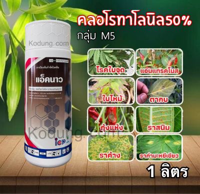 แอ็คนาว #คลอโรทาโลนิล 50% W/V SC -1ลิตร