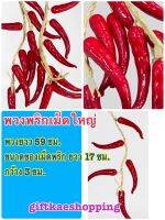 พริกปลอม (โมเดลพวงพริก) 1 พวง มี4 เม็ดใหญ่