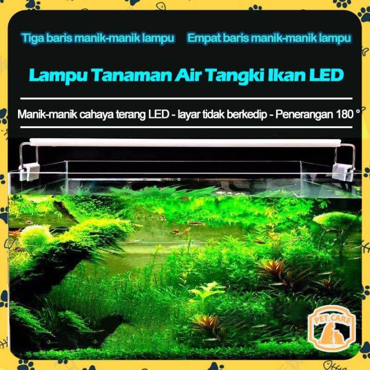 Ukuran Akuarium yang Ideal