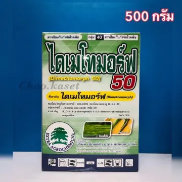 ไดเมโทมอร์ฟ50 ราคาถูก ซื้อออนไลน์ที่ - ต.ค. 2023 | Lazada.co.th