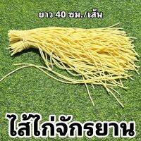 ไส้ไก่จักรยาน (จำหน่ายเป็นเส้น)