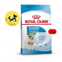 Royal Canin Mini Starter Mother &amp; Baby Dog 1 kg. (อาหารสำหรับแม่และลูกสุนัขพันธุ์เล็ก)