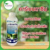 คาร์เบนดาซิม (carbendazim) 50% ป้องกันกำจัดโรคพืช เช่น โรคใบไหม้,โรคกาบใบแห้ง โรคใบจุดสีน้ำตาล