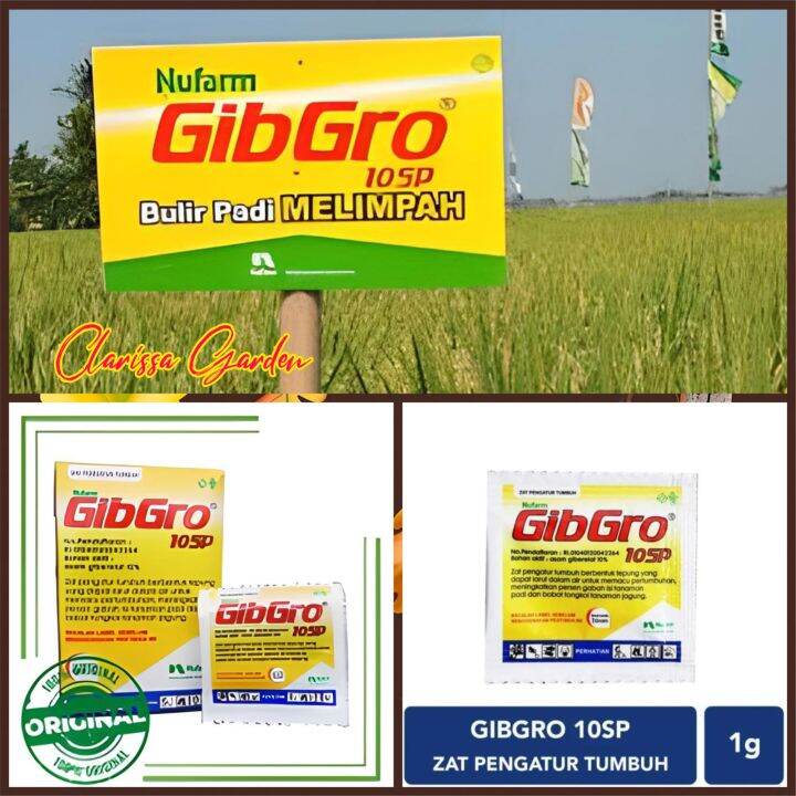 1 SACHET (1 GRAM) ZPT GIBGRO 10SP ZAT PENGATUR TUMBUHAN TANAMAN ...