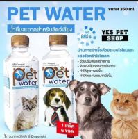 PET WATER น้ำเปล่า สำหรับสุนัขแมว น้ำดื่มสะอาด สำหรับสัตว์เลี้ยง (1 แพ็ค=6 ขวด)