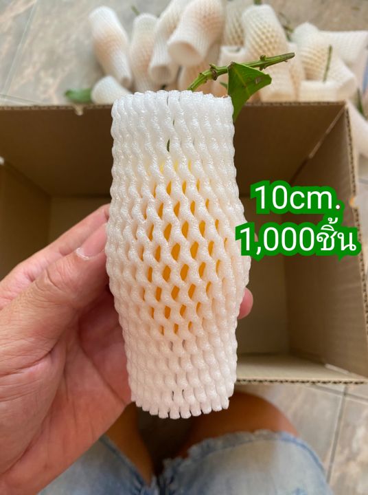 1,000 ชิ้น ขนาด10cm. โฟมห่อผลไม้ โฟมห่อมะปราง โฟมห่อมะยงชิด