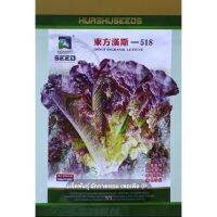 เมล็ดพันธุ์ ผักกาดหอม เพอเพิล (Purple Lettuce) บรรจุ 4000 เมล็ด