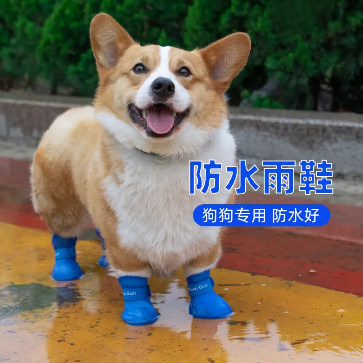 Dog Rain Boots Teddy Shoes Small Dog Pet Shoes Shoe Cover Anti