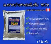 ผงสาหร่ายทะเล 100% แองเจิล #ไซโตไคนิน ละลายน้ำดี ไม่มีตะกอน 1 กิโลกรัม