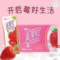 KK32นมผลไม้ รสสตรอเบอร์รี่ ยกลัง 12กล่อง พร้อมส่ง(蒙牛真果粒、1件12瓶、草莓味 )ขนาด 250ml*12 หอม อร่อย กลมกล่อม มีประโยชน์และคุณค่าทางโภชนาการ