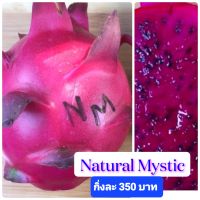 แก้วมังกรพันธุ์ Natural Mystic