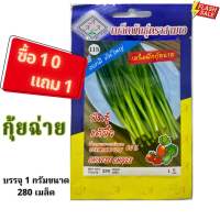 เมล็ดพันธุ์กุ้ยช่าย เมล็ดพันธุ์กุ้ยช่ายสามเอ พันธุ์แต้จิ๋ว ต้นใหญ่ เมล็ดพันธุ์ผักสวนครัว Chinese chives